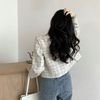 yaan_26502