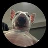ncisx_47