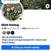 dinhhuong4402