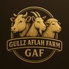 gullzaflahfarm