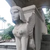 tikvena