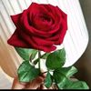 user72202492
