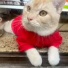 dinhmaocatfood