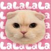 nanadd_612