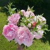aseel_94ahmad