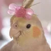 princesa.emi