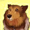 thesheltieowner