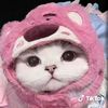 user.roycoo078