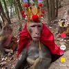 peerapong172