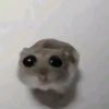 iluavu