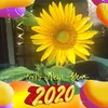 hongdieu271164