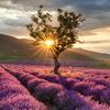 mahmoud__maher90