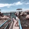 anhiubema1010