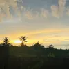 muidien_muidien
