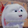 vowwo