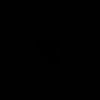 nat160266