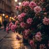 ii_9899