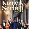turkish_series816