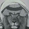 alialkhalidi344