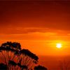 ajmal_9990