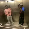 shad_1011