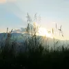 thinhphatnguyen70