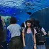 van_anh627