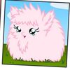 talicialovescats