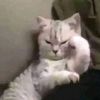 kiki_mono