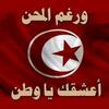 ferielmahmoud4