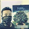 papaya_vp