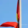 minhtrung0484