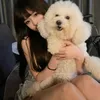 queen_littlesara0