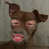 ppkeas