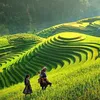 Tạp Hoá Nhà Gold