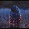 diyaxnaidoo.16
