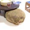 Pamper moony