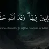 dz3131ma