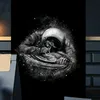 mrplumber02