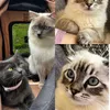 susu.nimbus