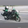 murgemurgia77