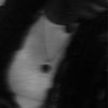 _pyt._d