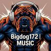 Bigdog172 | MUSIC