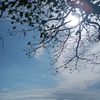 langit_biru0612