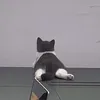 kymchidoao