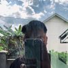 baby_maxss
