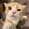 ma?