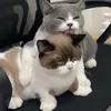 nhà có 3 cái mạng