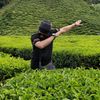 paktamamat