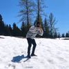 ceddgrey